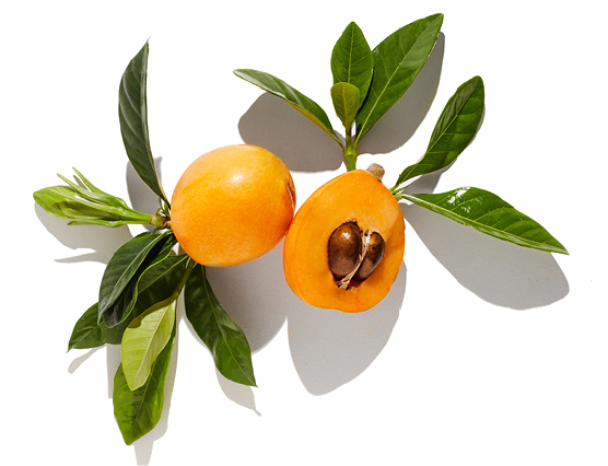 Marula Industrial Hub: Limpopo